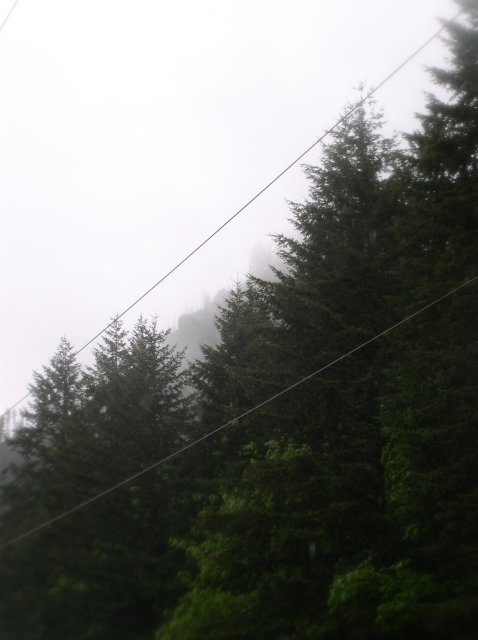 5.7.06 Wauna Point 031 